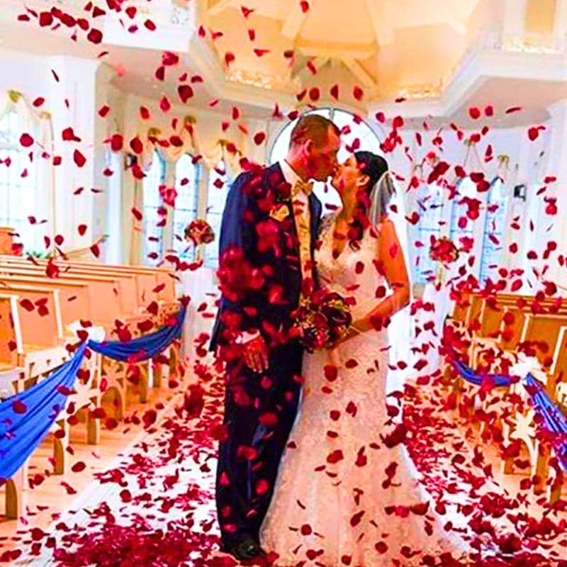 C14_tds0419_Konfetti róże tuba 3x zestaw